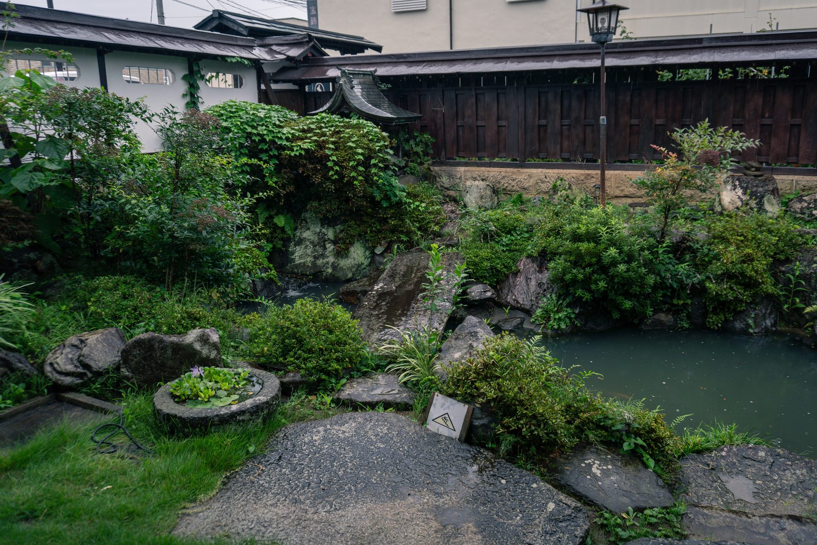 The garden