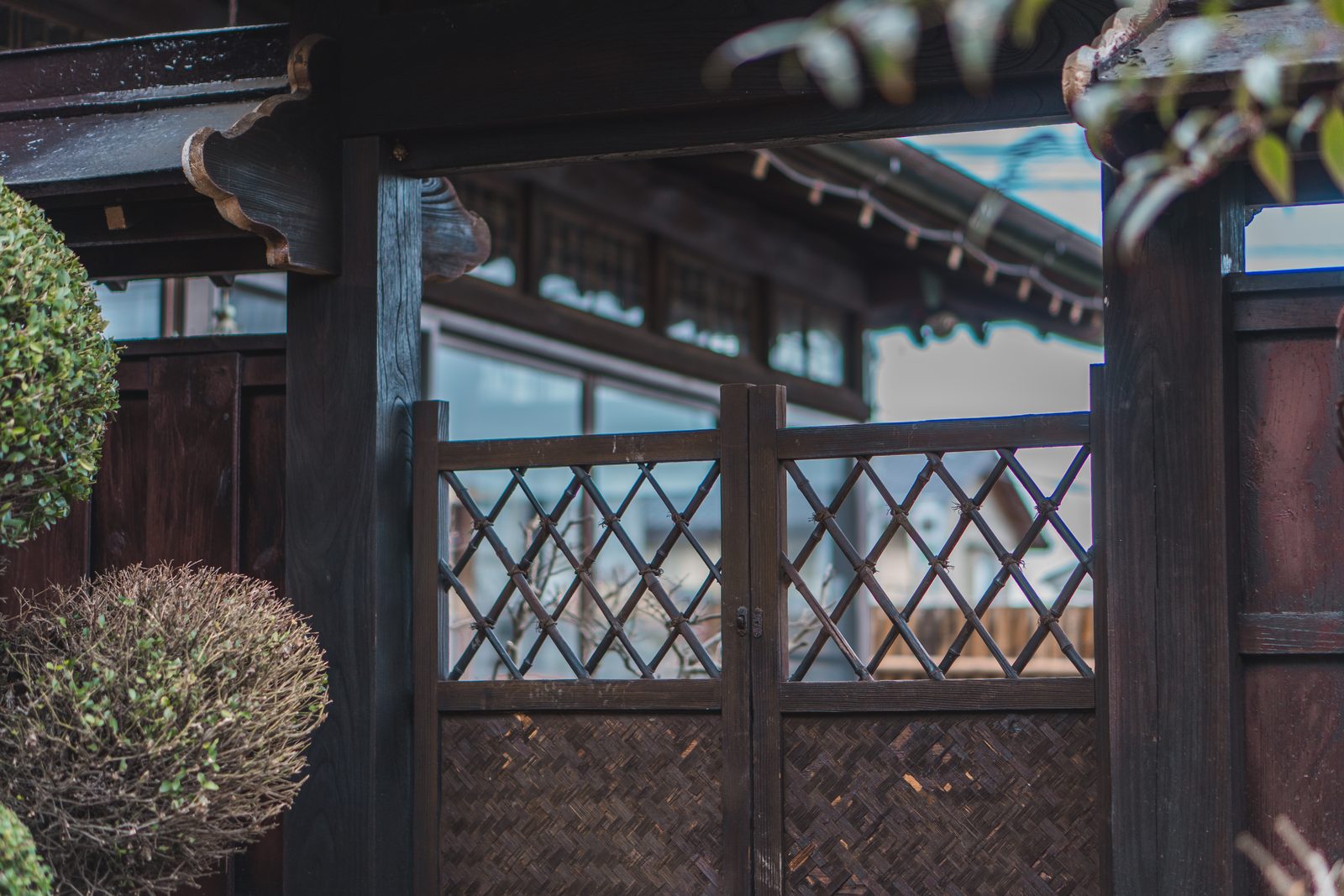 Bamboo lattice gate into the garden
